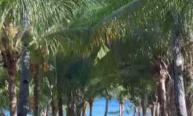 Tanah Dijual di Pasir Putih Situbondo