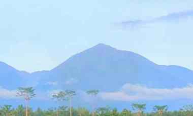 Dijual Tanah View Gunung di Kerta Payangan Gianyar dekat Ayatara Resort