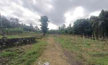 Tanah Zona Pink dekat Pantai Pekutatan dan Medewi Bali