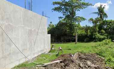 Tanah Dijual di Pemaron