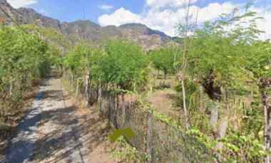dijual tanah pemuteran buleleng bali