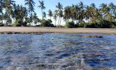 Beach Front Land di Perancak 30 menit ke Pantai Medewi Bali