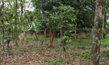 Dijual Tanah Luas Strategis dekat Tol Perigi, Pondok Aren, Tangsel