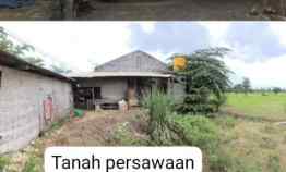 Dijual Tanah Persawahan Nol Jaran Raya