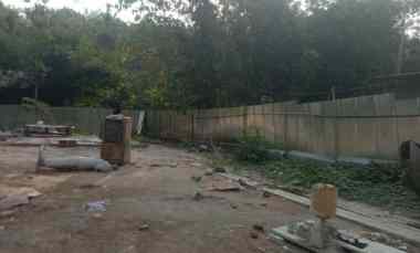 Dijual Tanah Pertanian Luas Tepi Jalan Utama di Bantul