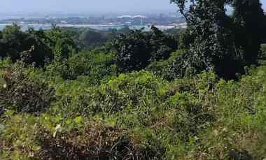 Tanah Dijual di Perum Pasraman UNUD