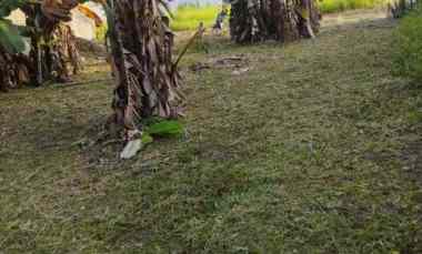 Dijual Tanah Kavling Lokasi Strategis Teluk Jambe Karawang