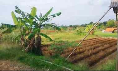 Tanah Dijual di Beber