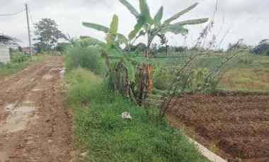 Tanah Dijual di Wanayasa beber