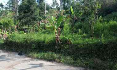 100 m2 Tanah Kebun Datar Siap Bangun, Pakubaji Ngamprah, Bandung Barat