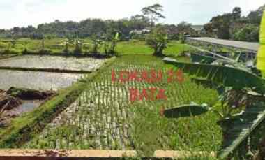 Dijual Tanah Pinggir jl Desa di Beber Cirebon