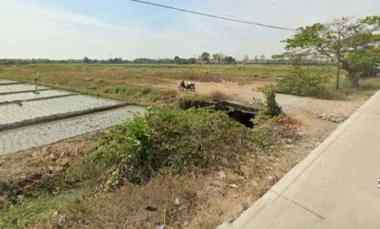 Tanah Strategis Pinggir jl di Plered Cirebon Zona Industri