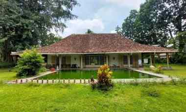 Rumah Model Kolonial dengan Tanah Sangat Luas Ring 1 Kampus UGM Yogya