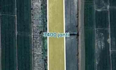 Tanah 3400m2 Muka 22 M jl Galgondo Janti Klaten 375rb/m2