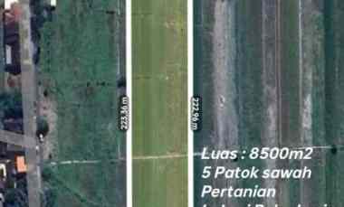 Tanah Pertanian 8500m2 Muka 38m Polanharjo Klaten 2,1 M