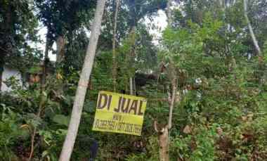 dijual tanah pulosari bareng jombang