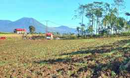 dijual tanah puncak wawo tomohon samping cartenz hills