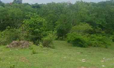 Dijual 7,9522 Ha. jl. Puncak Wisesa Labuansait Pecatu Kuta Selatan