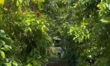 Tanah Kavling Sentul Cijayanti View Bagus Pemandangan SHM