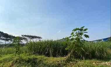 dijual tanah randuagung