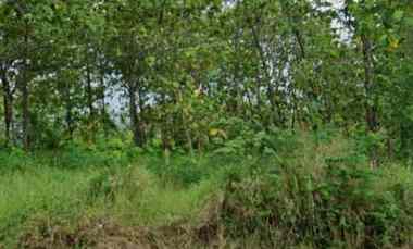 Tanah 7320 m2 SHM untuk Komersial Jasa dan Niaga di Majalengka