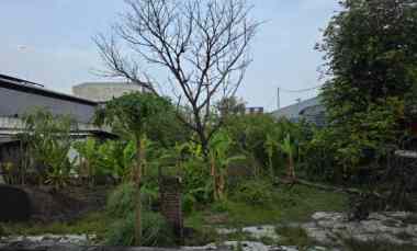 Tanah Prospek Raya Kedung Cowek Strategis Akses Suramadu, Kenjeran