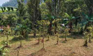 Tanah Dijual di Raya Nagreg