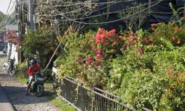 Dijual 2 are, jl. Raya Pererenan Tanah Lot Raya Canggu Mengwi Badung