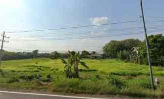 dijual tanah raya ploso