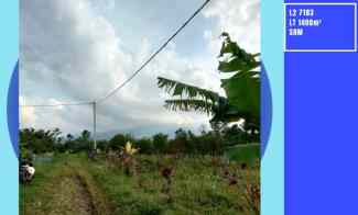 dijual tanah rekesan