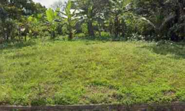 Tanah Dijual di Rendang Karangasem