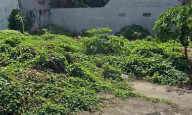 Dijual 4,5 are, jl. Tukad Batu Sari Dangin Puri Klod Renon Denpasar