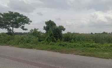 Tanah Dijual di Romokalisari Surabaya