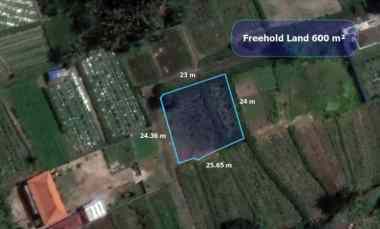 Dijual Tanah Luas Murah Lokasi Bagus Kawasan Villa di Saba Gianyar Bal