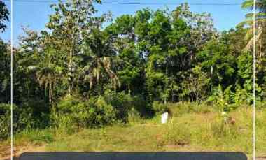 Tanah Pekarangan Sangat Asri Bersebelahan Resto Jiwa Jawi Bangunjiwo