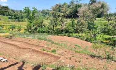 Dijual Tanah Sawah 3x Panen Karangpandan Karanganyar