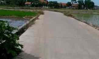 Dijual Tanah Sawah di Karawang Barat Kota