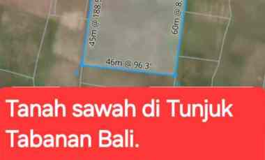 dijual tanah sawah di tunjuk tabanan bali