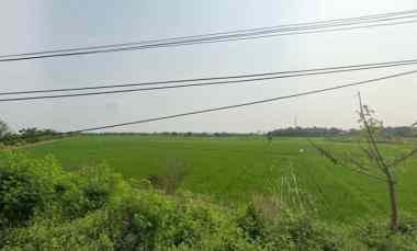 Dijual Tanah Sawah Luas Shm di Desa Bakung Tangerang