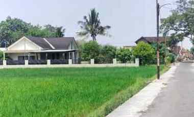 dijual tanah sawah murah meriah nego sampai jadi