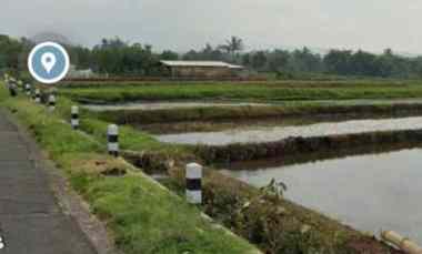 Dijual Tanah Sawah Pinggir Jalan Singosari, Malang