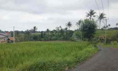 Tanah Dijual di Rando bawa