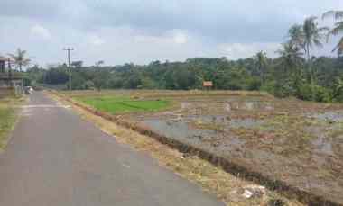 dijual tanah sawah pinggir jl desa di mandirancan