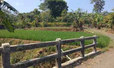 Dijual Tanah Sawah Pinggir jl Desa di Pancalang