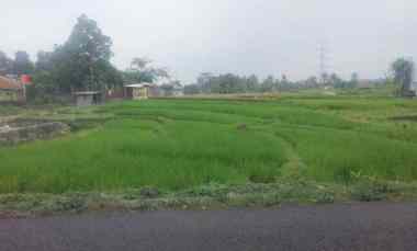 dijual tanah sawah pinggir jl view bagus