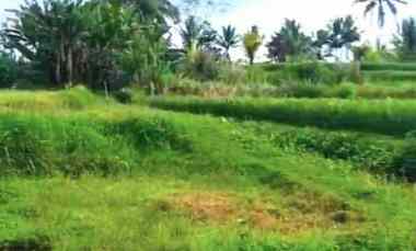 dijual tanah sawah produktif di penebel tabanan bali