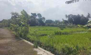 Dijual Tanah Sawah View Gunung Akses jl Mobil
