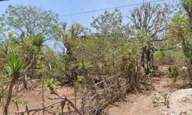 Tanah Dijual di Sawangan