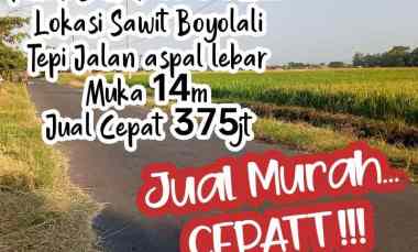 Dijual Tanah 1950m2 Sawit Boyolali Tepi Jln Aspal Lebar 375jt Muka 14m