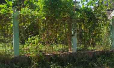 Tanah Dijual di Sayap Sukajadi